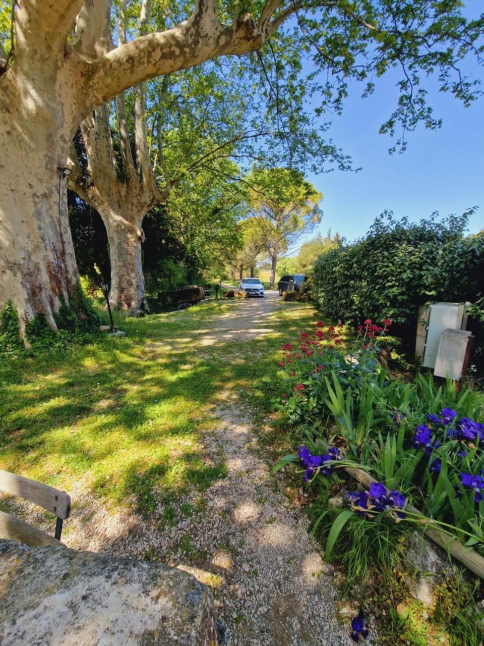 Bed and Breakfast Ancien Mas Du Moulin Eygalières Exterior foto